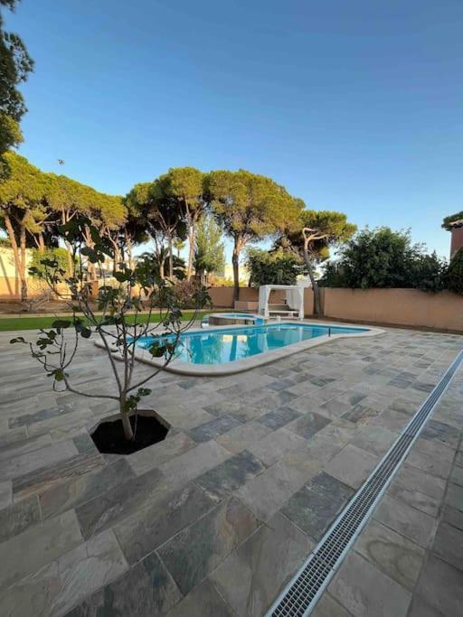 Villa Brasilia Чиклана де ла Фронтера Екстериор снимка